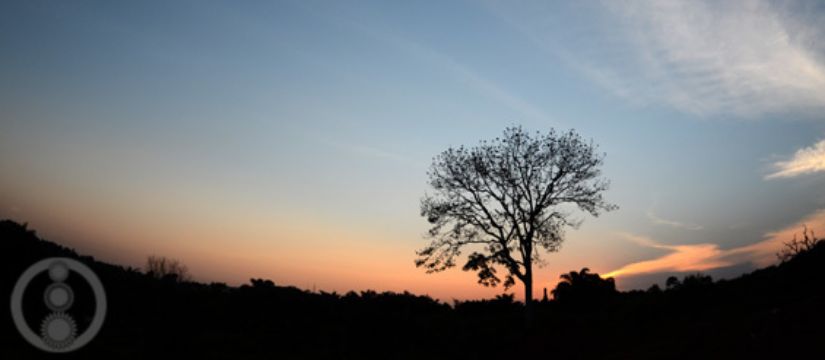 c0229485_164252.jpg