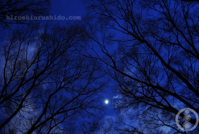 # by hiroshiurushido| 2010-08-20